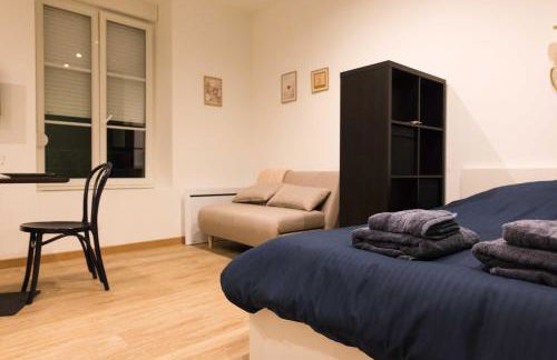 Cozy studio au coeur de Vittel - Foto 7