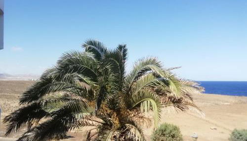 Océano Fuerte - Foto 5