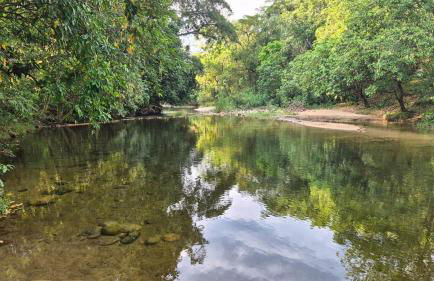 Natureza Loft - Foto 29