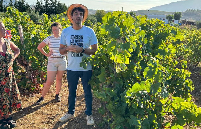 Visite d'un vignoble + Dégustation de produits typiques - Photo 3