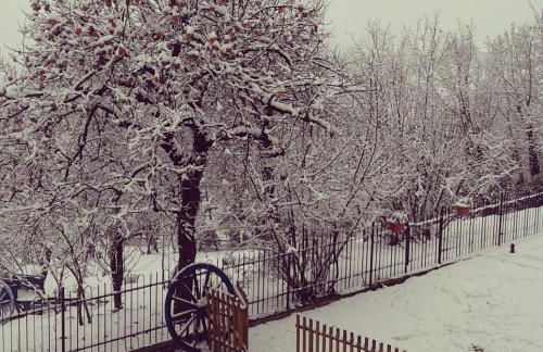 La Casa Blu - Foto 63