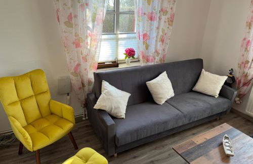 Carlos Hus - Foto 20