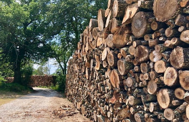 Casale degli Ulivi - Photo 57