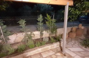 Ktima Rodies in Neochori Zacharo - Foto 28