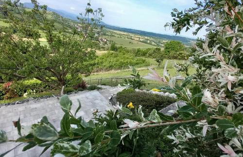 Apartman BIBA - Foto 27