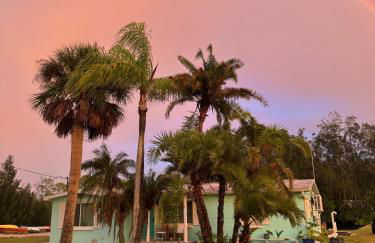 Northern Point of Treasure Island, New Port Richey - Foto 31