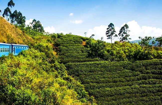 Excursão privada a Kandy - Foto 1