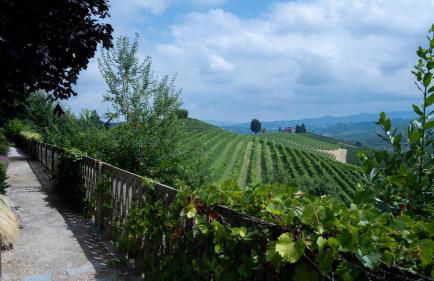 Cannubi San Lorenzo Appartamento - Foto 34