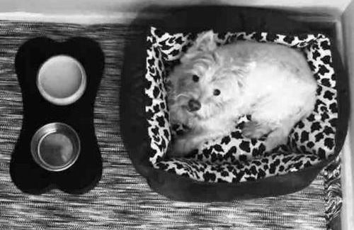 Upper Beeches - Foto 13