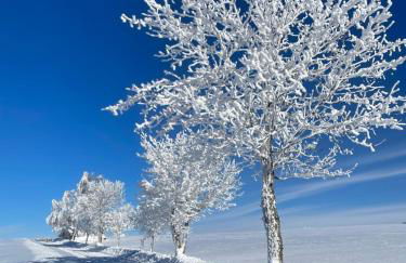 Ferienwohnung "Klatschmohn" - DrostenHof Nordenau - Foto 26