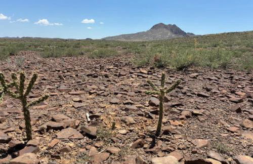 Cabin at the Hill, Close to Big Bend National Park and Terlingua Ghost Town - Foto 6