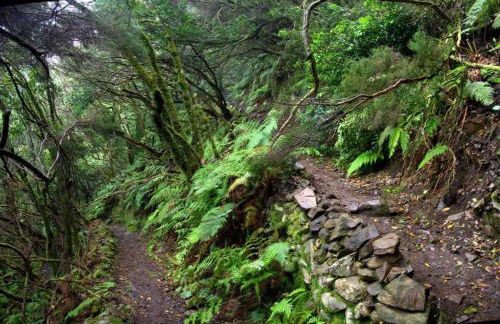 Anaga Experience House, Mountain & Beach Retreat - Foto 64