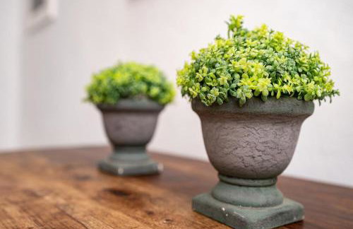 Fasolou Seaside Escape - Foto 6