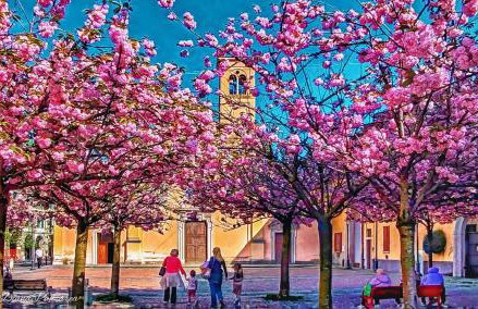 La Casa di Hellen 2room &living room 5pers app - Foto 6