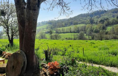 La Casina del Pintor - Foto 3