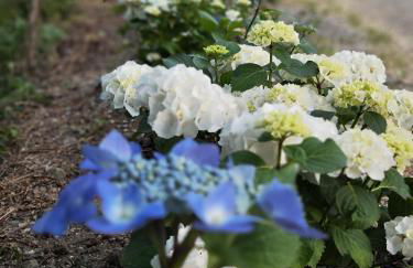 Il Torrione del Trebbia - Foto 55