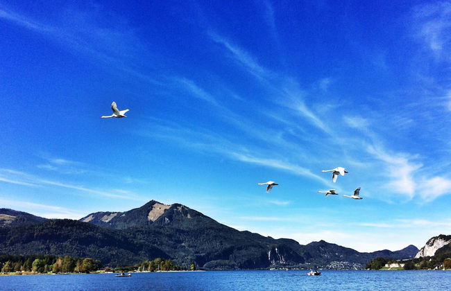 Arndts Bootshaus - Foto 25