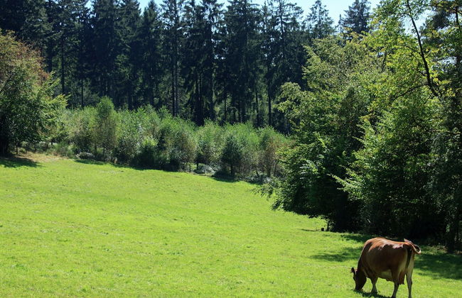 Architect's Gem in Stoumont - Foto 37