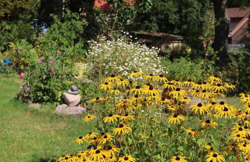 Ferienhaus Bullenberg - Foto 6