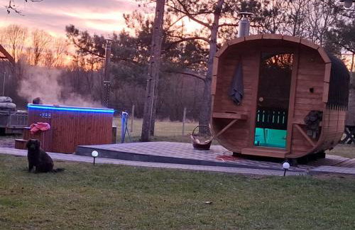 Agroturystyka PLENER - Foto 56