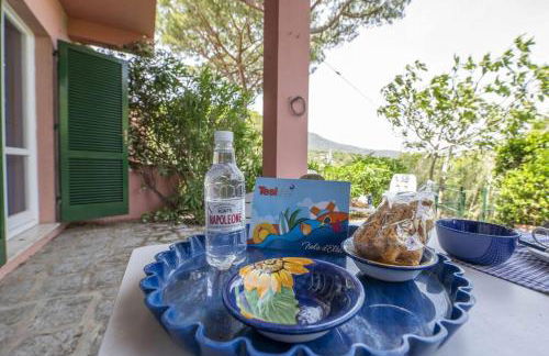 Gli Oleandri di Procchio - Foto 14