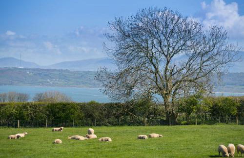 2 Trem Y Mor - Foto 29