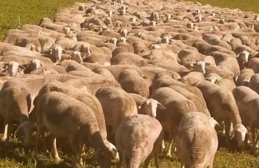 Gîte Les Gorges du Tarn - Photo 30