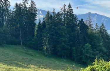 Marmotte du Jaillet Cosy and charmant appartement - Foto 35