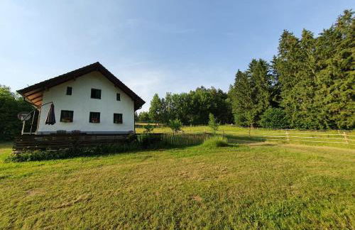Ferienhaus am Dachsberg, Bayerischer Wald - Foto 8