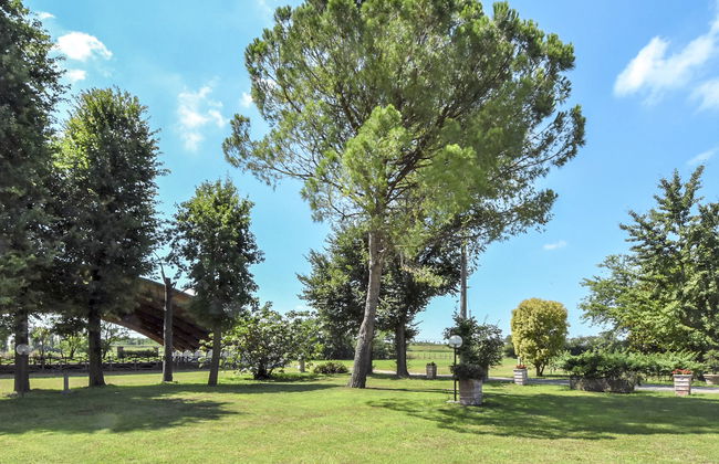Azienda Agricola Forzello - Foto 26