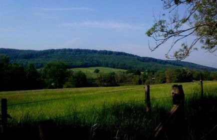 Ferienwohnung Das Fuchsrevier - Foto 29