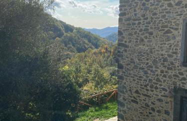 Leon Morto - Foto 11