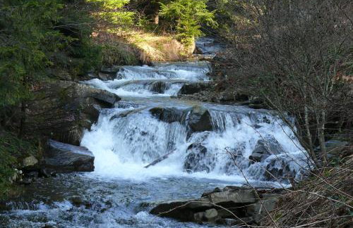 Apartamenty DobraNocka - Foto 60