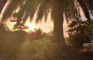 Casa Palmera - Photo 46