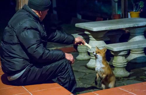 916 Mountain Resort - Foto 32