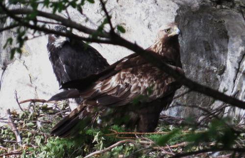 Villa Fedora - Foto 41