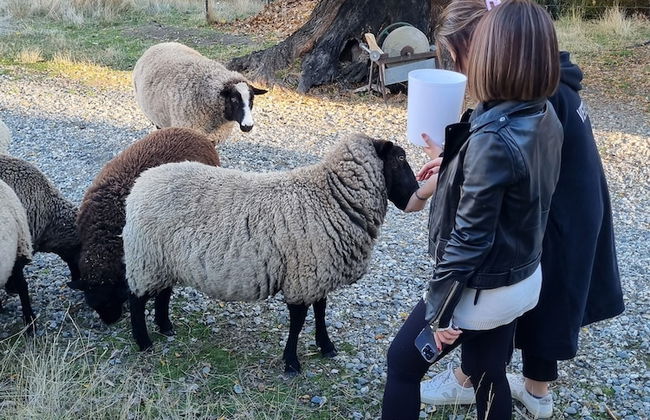 Burn Cottage Retreat - Foto 29