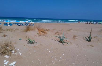 360 Panorama House - Gazing at Horizon and the Stars of the Galaxy in the night - Fresh Cool breeze most of the time - just 7 min from the beach - Foto 48