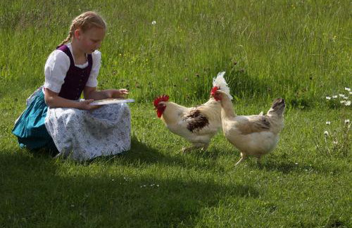 Beim Lenglacher - Photo 9