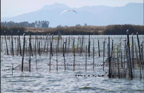 Casa Pescadores de Vallterra - Foto 32