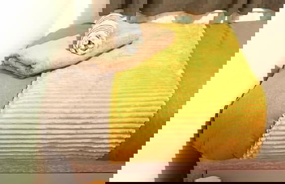 Spacious Family Home - Foto 5