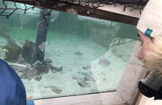 Panorama Hotell Rorbusuiter - Foto 49