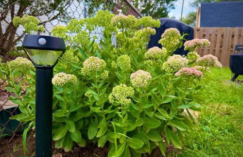 Cozy & Comfy Bright 3 Bedroom Home - Foto 36