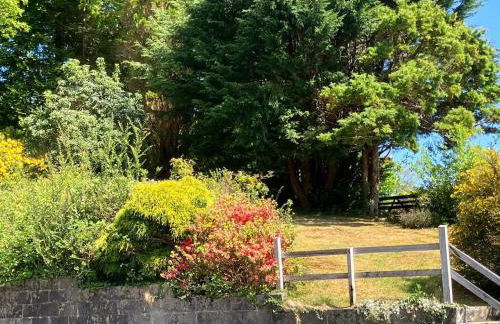 Y Fedw Wen - Foto 23