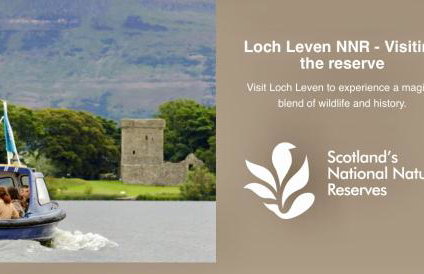 The Old Schoolhouse, Kinross - Foto 24