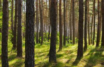 Trójmiasto nad jeziorem DOM -ECHOCHATA - Foto 26