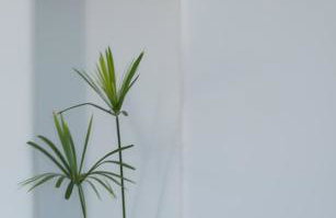 Azar Luxury Villas & Suites - Foto 108