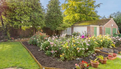 Lilac Studio - Foto 2, Garden