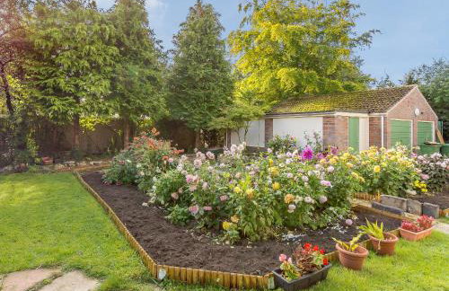 Lilac Studio - Foto 2