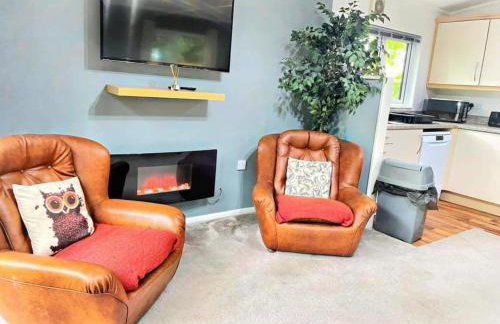 Woodland View -Hot Tub-Tenby-Carmarthen-St Clears - Foto 10